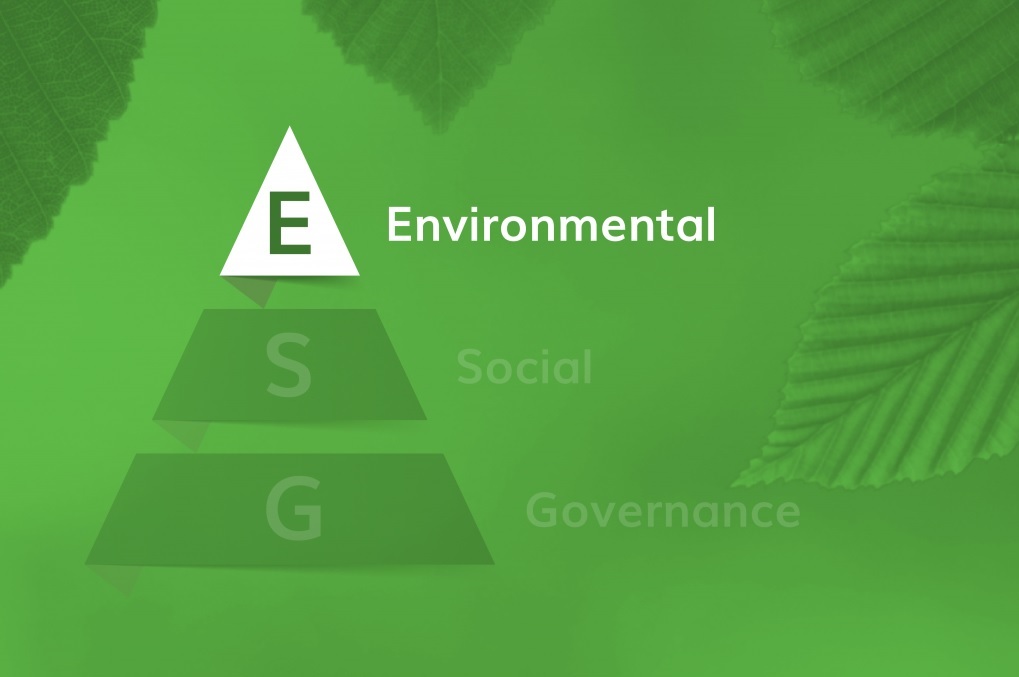 What Does the ‘E’ in ESG Mean and How Does It Impact a Company?